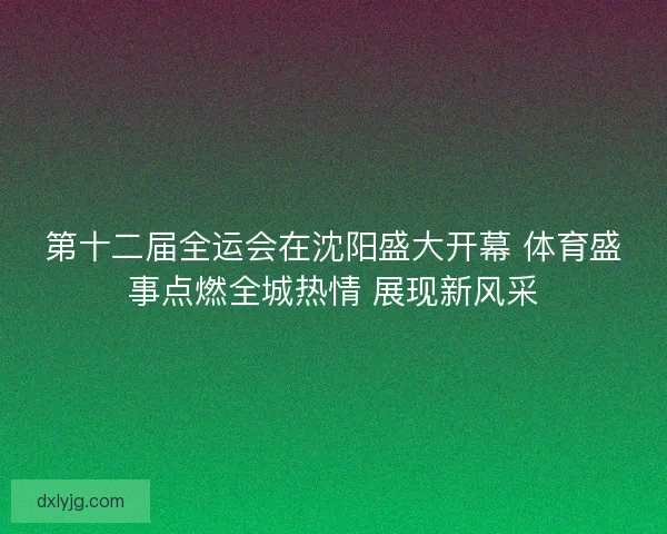 第十二届全运会在沈阳盛大开幕 体育盛事点燃全城热情 展现新风采